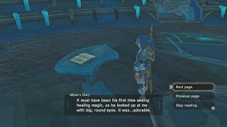 TLoZ Breath of the Wild Wii U  DLC  EX Champion Miphas Song 55  Miphas Diary [upl. by Rayham]