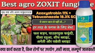 Zoxit fungicide best agro zoxit fungicide Azoxistrobin 11  Tebuconazole 183SC best fungicide [upl. by Liam743]