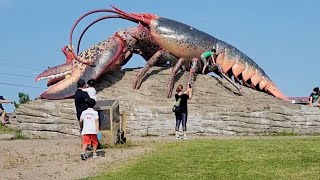 The Worlds Largest Lobster Shediac Giant Lobster Where To Go at New Brunswick [upl. by Riccio]