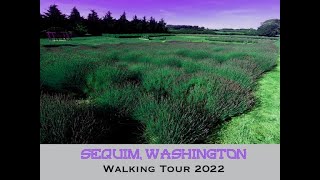 Sequim Washington 2022 City and Lavender Fields Forever Walk [upl. by Aken770]