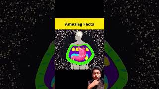 Top 3 vichitra log😮😮😮Top 3 Amazing Facts Best Experiment by  shorts​  FactBeast [upl. by Dira595]