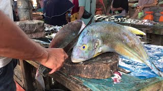 Amazing Sharp Knife Skills Cutting Big Fish In Asian Market  Fish Cut Videos [upl. by Sindee646]