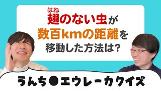 飛べない昆虫が生息域を広げた驚きの方法とは？【うんちエウレーカクイズ】 [upl. by Mona]