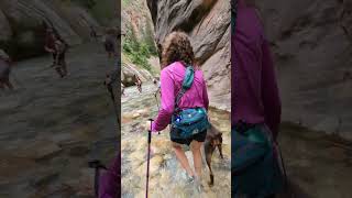 The Narrows  Zion National Park  Hiking Adventures  Pickupsports  25 [upl. by Neile379]