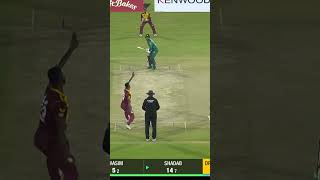 Shadab Khan Shines  Watch His Impressive 28 Runs Knock PAKvWI SportsCentral Shorts PCB MO2K [upl. by Hiamerej]