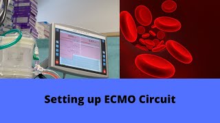 Setting up ECMO Circuit [upl. by Rebna]