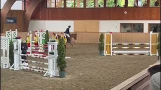 Carracas  Show Jumper  Carridam  2018  Gelding [upl. by Naenaj]