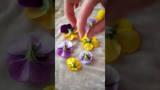 Recette des rouleaux de printemps  Maisons du Monde [upl. by Andy897]