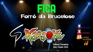 Karaokê Forró da Brucelose  Fica [upl. by Hgielyk]