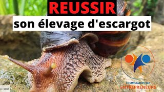 ELEVAGE DESCARGOTScomment réussir son élevage descargots [upl. by Retse]