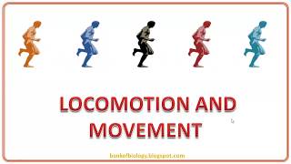 Locomotion and movement quick revision part 1 [upl. by Lello]