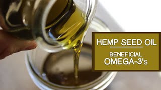 Hemp Seed Oil and Its Beneficial Omega3 Fatty Acids [upl. by Ennaisoj235]