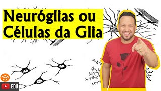 Neuróglias ou Células da Glia ou Gliócitos ou Células Gliais  Tecido Nervoso  Histologia Animal [upl. by Stavros128]