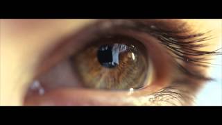 The Human Eye Closeup  Macro slowmotion [upl. by Sivrep]