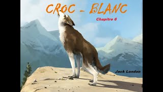 Croc Blanc  Livre Audio 🔈  chapitre 6  Le Louveteau gris Jack London [upl. by Rosabelle]