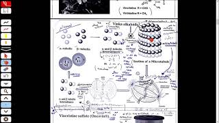 Anticancer Agents 06  Plants Alkaloid A [upl. by Barina]