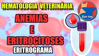 Interpretação do hemograma  Eritrograma Parte 1  Medicina veterinária [upl. by Strohbehn854]