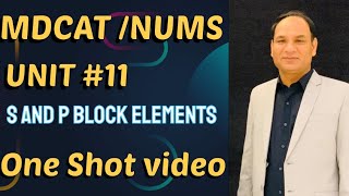 MDCAT UNIT11  S and p Block elements  One shot video [upl. by Sutsuj472]