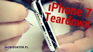 iPhone 7  Teardown  Disassembly Rozkręcamy nowego iPhonea [upl. by Cacia]