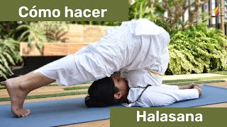 Cómo hacer Halasana Postura de Arado  SRMD Yoga  SRMD Spanish [upl. by Neelhtac]