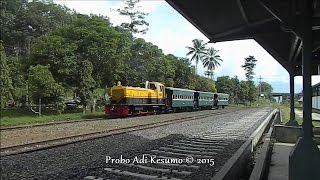 Kereta Wisata Ambarawa datang amp berangkat Stasiun Tuntang [upl. by Torrance819]