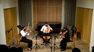 Dohnányi  Serenade in C major for String Trio Op10 Mov I II IV [upl. by Alyak]