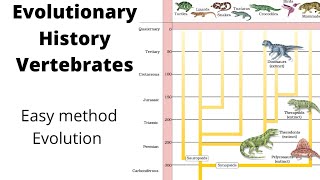 Evolutionary history of vertebrates through geological periodsEvolution plus two biologyMalayalam [upl. by Eohce618]