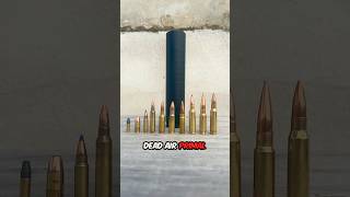 10 Calibers vs 1 Silencer silencershop suppressor [upl. by Ahsinoj]