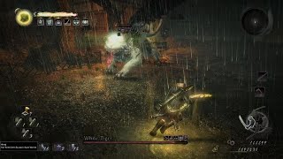 Nioh Remastered PS5 Cheese Build Try [upl. by Eelarak]