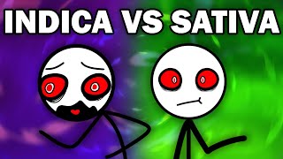 INDICA VS SATIVA [upl. by Giffy540]