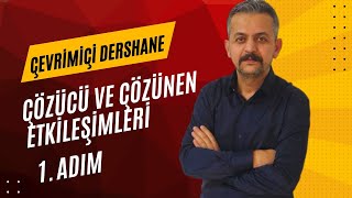 3 Adım Kimya AYT Çözümleri  Çözücü ve Çözünen Etkileşimleri 1 Adım [upl. by Debbie]