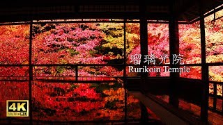 Blackmagic Pocket Cinema Camera 4K BMPCC4K  quotKyoto Rurikoin Templequot  瑠璃光院 紅葉 2018 [upl. by Enytnoel]