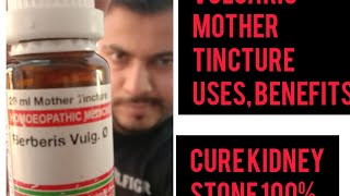 Berberis Vulgaris mother tincture uses  berberis Vulgaris best medicine for kidney stone [upl. by Dimitri]