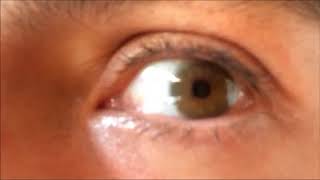 The Best Colored Contacts Hazel New Natural Brand [upl. by Burta]