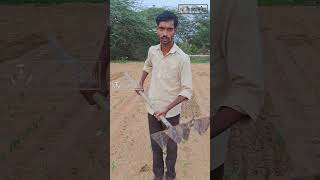 Hand cultivator గొర్రు maa agriculture Telugu [upl. by Nortyad]