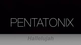 Hallelujah Avi [upl. by Shauna]