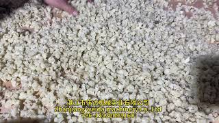 Styrene butadiene and butylbenzene broken shred and crush machine [upl. by Yesor]