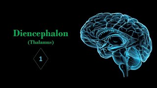 Introduction of diencephalon and thalamus Prof Ashfaqur Rahman [upl. by Kono750]