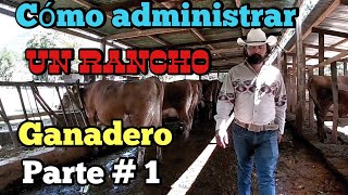 Cómo administrar un Rancho Ganadero parte  1 [upl. by Davina996]