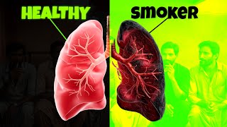 The 2024 TRUTH About Smoking and Cancer [upl. by Sarnoff]