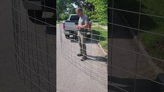 How To Haul A Long Cattle Panel In A Truck farmlife garden growyourownfood diy homestead [upl. by Teddy]