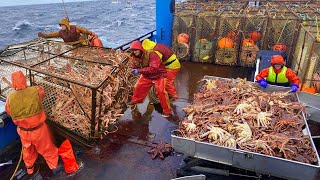 Amazing Kinh Crab Traps on the Modern Vessel  You Wont Believe How We Caught This lots of Crabs [upl. by Raseda]