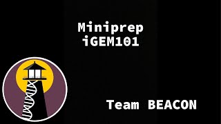 iGEM101 Lab How to miniprep biology igem [upl. by Tolkan839]