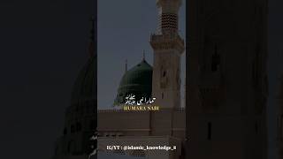 Maslak E Aala Hazrat 💫 Mufti Akhtar Hussain Alimi  viral trending shorts yrshorts [upl. by Adolpho]