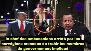 Arrestation d’Ayaba Cho Lucas  une menace pour le régime camerounais [upl. by Onifled390]