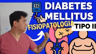 FISIOPATOLOGIA de la DIABETES MELLITUS TIPO II  ¡Explicación FACIL ✅ [upl. by Ecaroh]