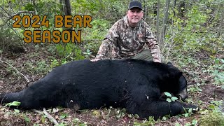 467lb Wisconsin Black Bear [upl. by Rebekkah]