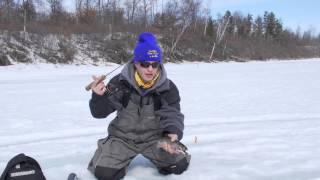 Catching Trout Through The Ice Slender Spoon  Shrimpo Dropper Rig [upl. by Florina]