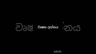 ධනාත්මක සිතුවිලි ඇති ලග්නastrology horoscope sinhala HimayaWijesingheo4t [upl. by Sharron]