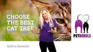 CHOOSE THE BEST CAT TREE FOR YOUR CAT WHAT CHARACTER IS YOUR CAT 4K [upl. by Atronna]